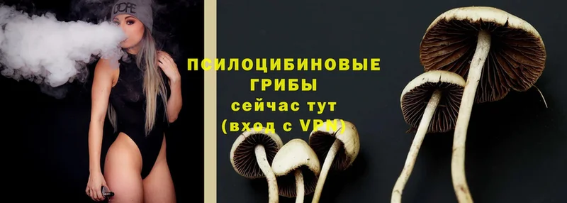 кракен онион  Шарыпово  Псилоцибиновые грибы GOLDEN TEACHER 